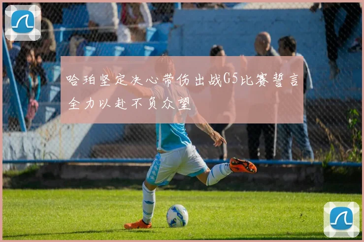 哈珀坚定决心带伤出战G5比赛誓言全力以赴不负众望